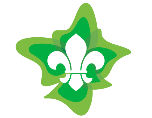 Scouts